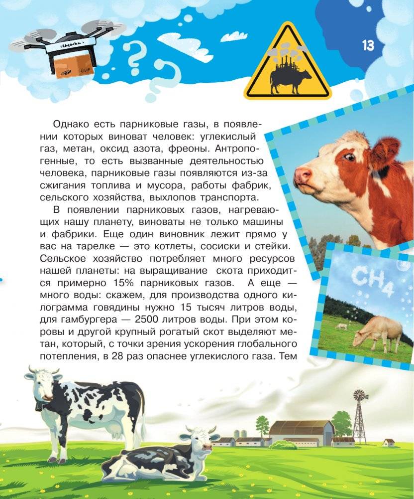 Что, где, когда и почему. Самые интересные вопросы и ответы о будущем фото книги 14