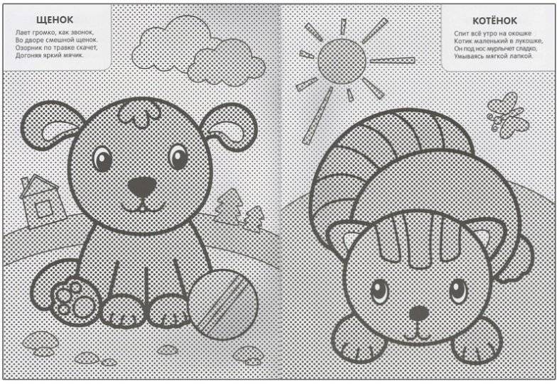 Мои первые водные раскраски. В деревне фото книги 3