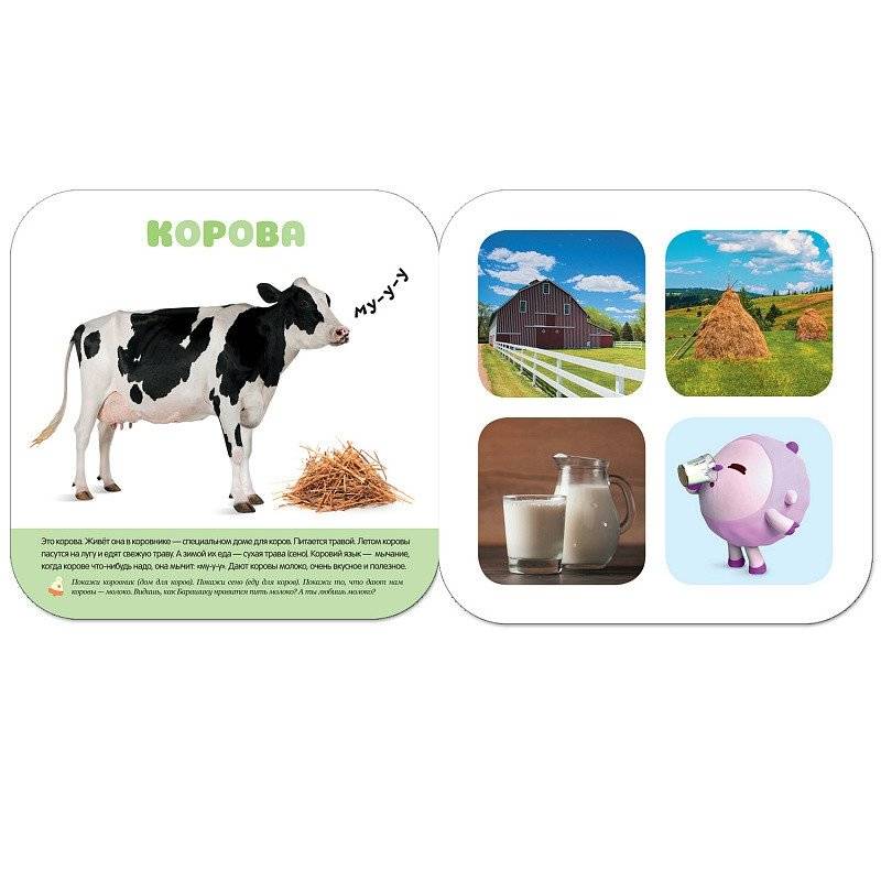 Малышарики. В деревне. 2+ фото книги 2