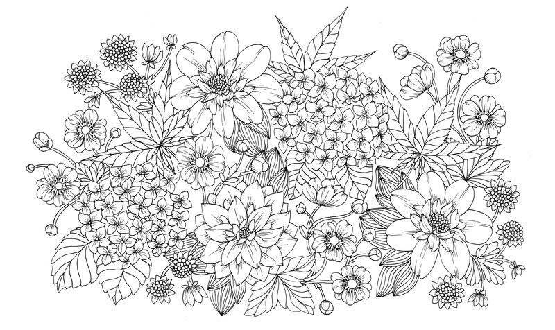 Сумеречный сад фото книги 2