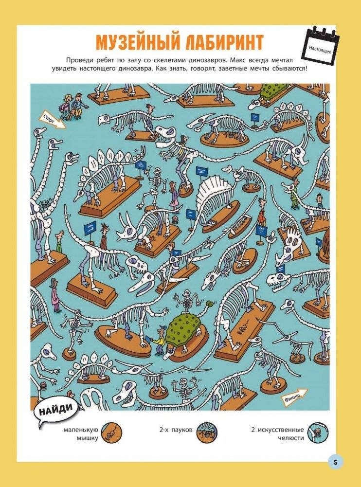 Путешествие во времени фото книги 5
