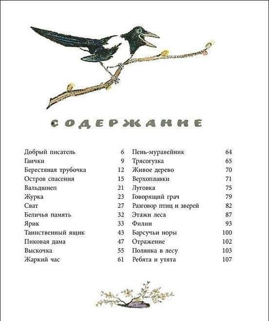 Берестяная трубочка фото книги 9