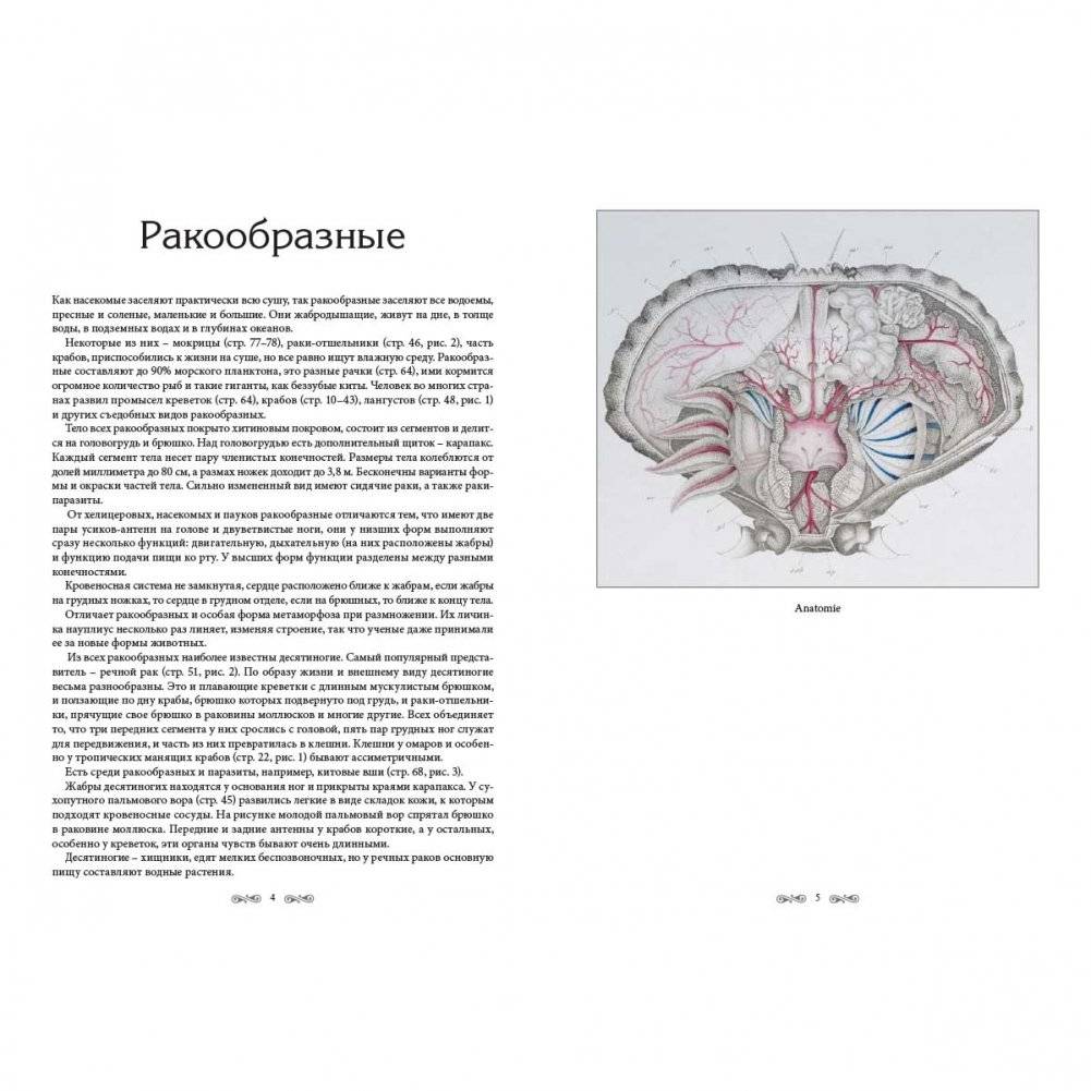 Ж.-Л. Кювье. Царство животных. Членистые. Ракообразные фото книги 2