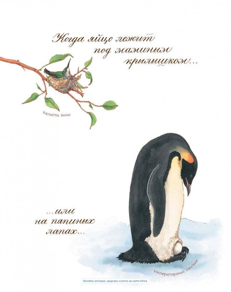 Яйцо любит тишину фото книги 6