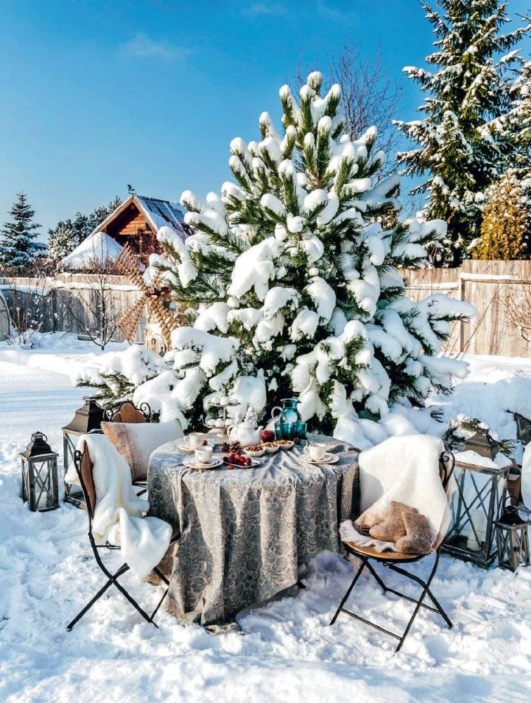 Фермерский обед. Как создать кулинарные шедевры из натуральных продуктов фото книги 3