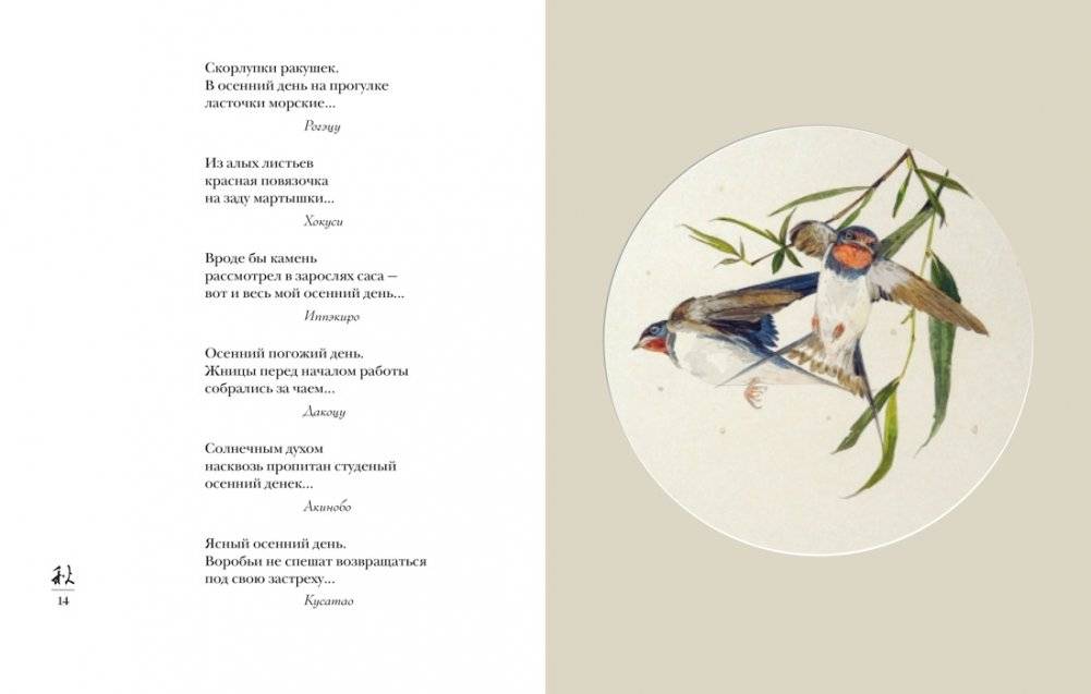 Мир в капле дождя. Осень. Зима. Хайку на все времена фото книги 5