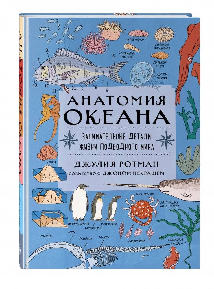 Анатомия океана. Занимательные детали жизни подводного мира фото книги 2