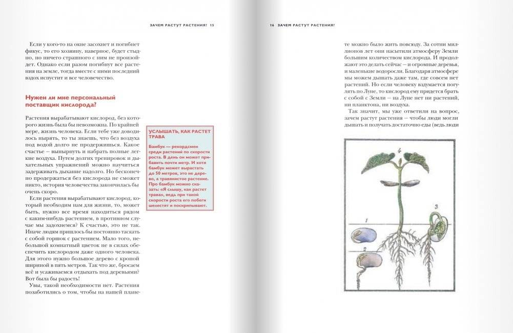 Детский университет. Книга 3. Исследователи объясняют загадки мира фото книги 6