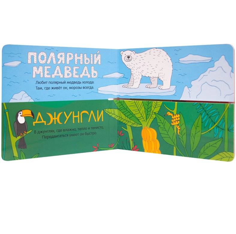 Кто где живет? фото книги 2