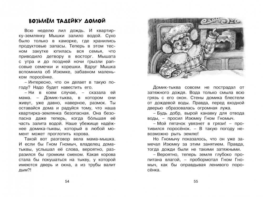 Изюмка и гном фото книги 6