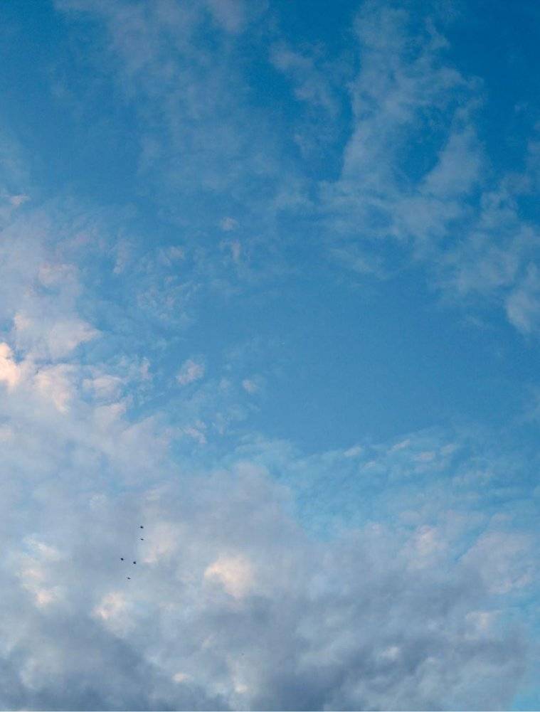 Шампанское: 8000 вкусов и ароматов фото книги 7