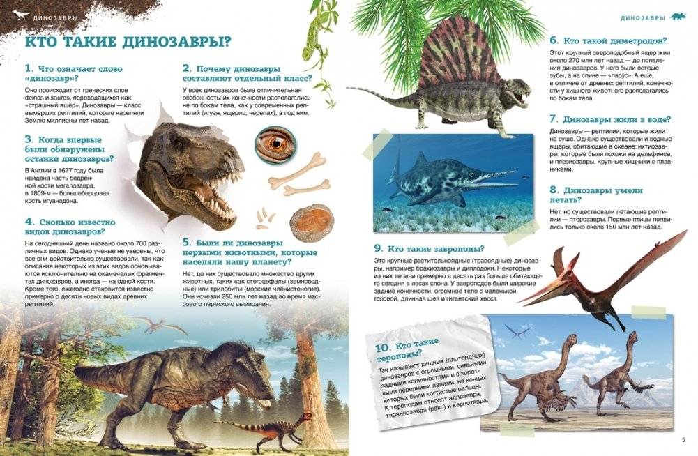 Динозавры фото книги 3