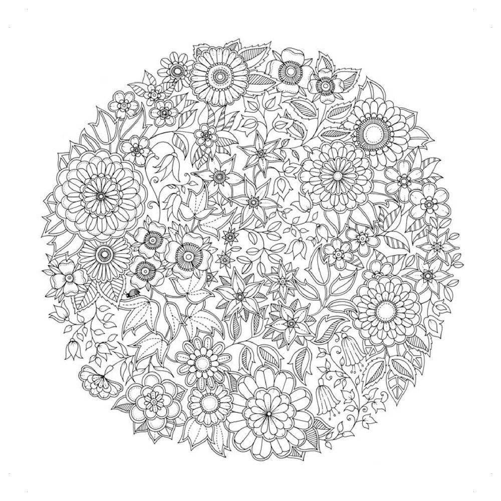 Таинственный сад. Книга для творчества и вдохновения фото книги 6