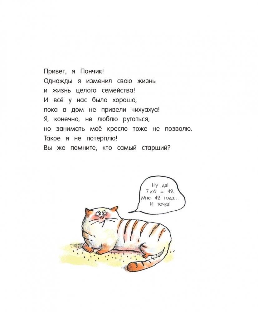 Кот Пончик. Жизнь кота фото книги 3