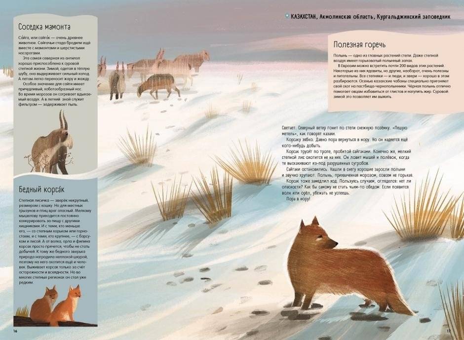 Степи, прерии, пампасы. Один год жизни исчезающего биома фото книги 3