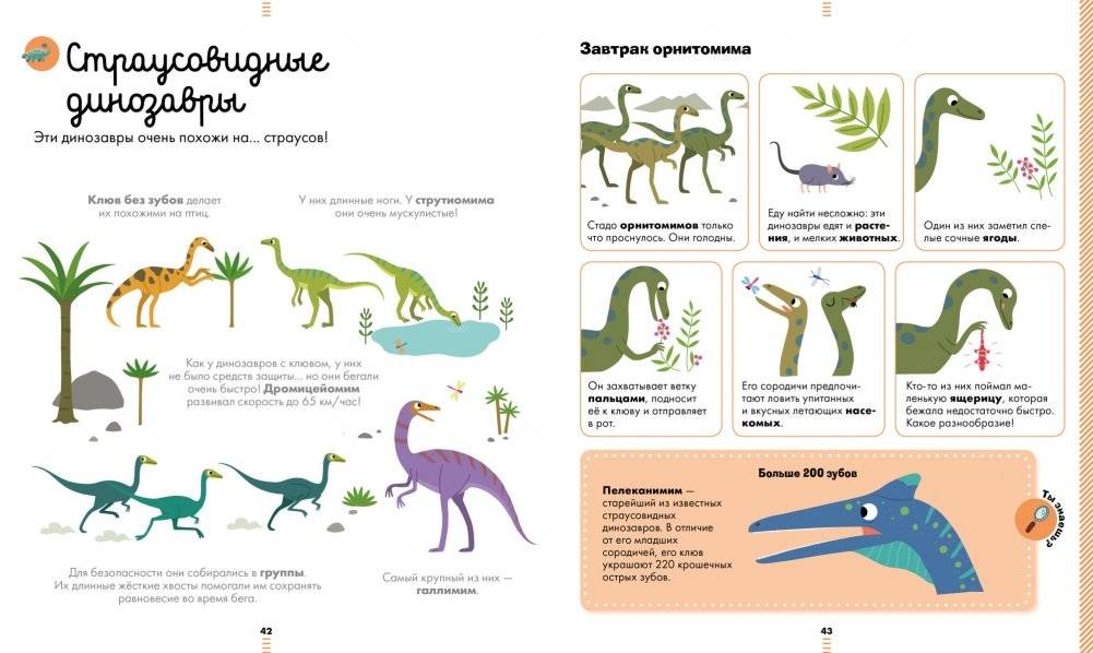 Большая энциклопедия динозавров фото книги 2