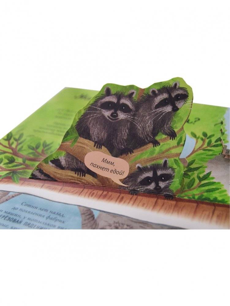 Открой тайны. Эволюция фото книги 7