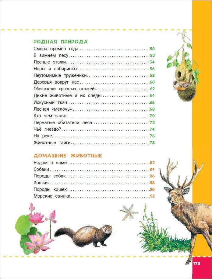 Энциклопедия будущих отличников фото книги 4