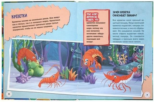 1000 почему и отчего. Про подводный мир фото книги 3
