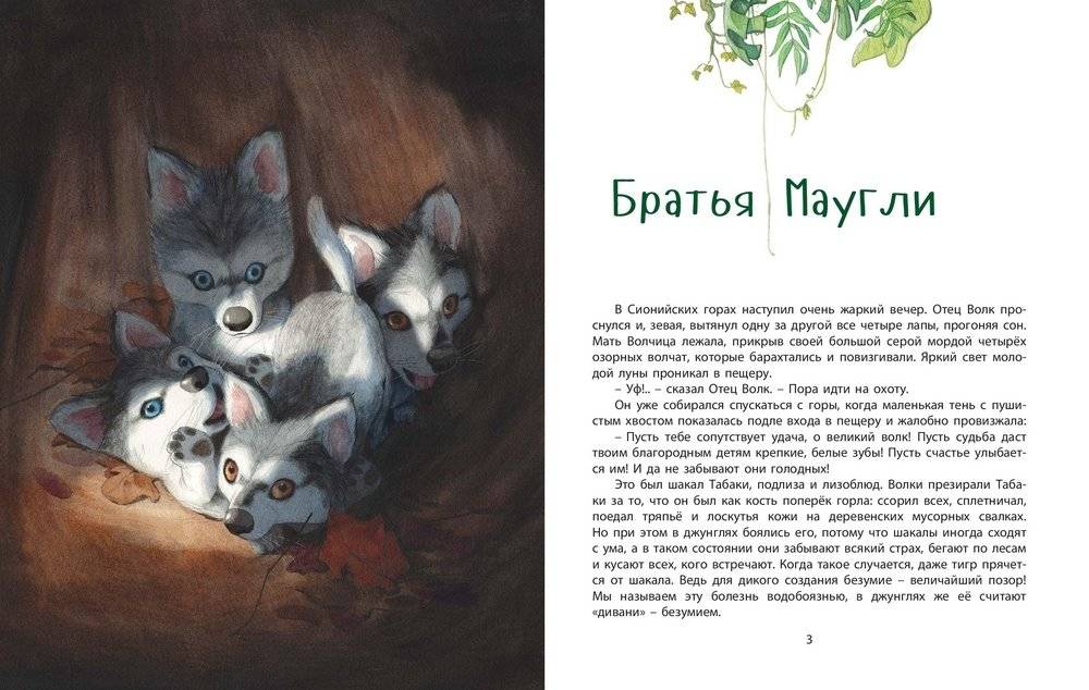 Книга джунглей фото книги 3
