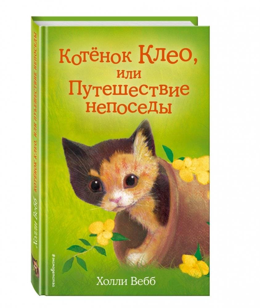 Котёнок Клео, или Путешествие непоседы фото книги 2