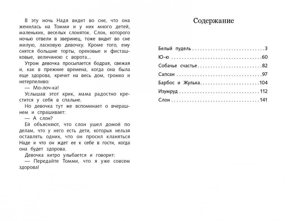 Белый пудель фото книги 5