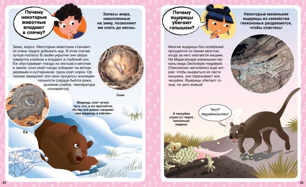 Почему? 100 вопросов и ответов в картинках фото книги 5