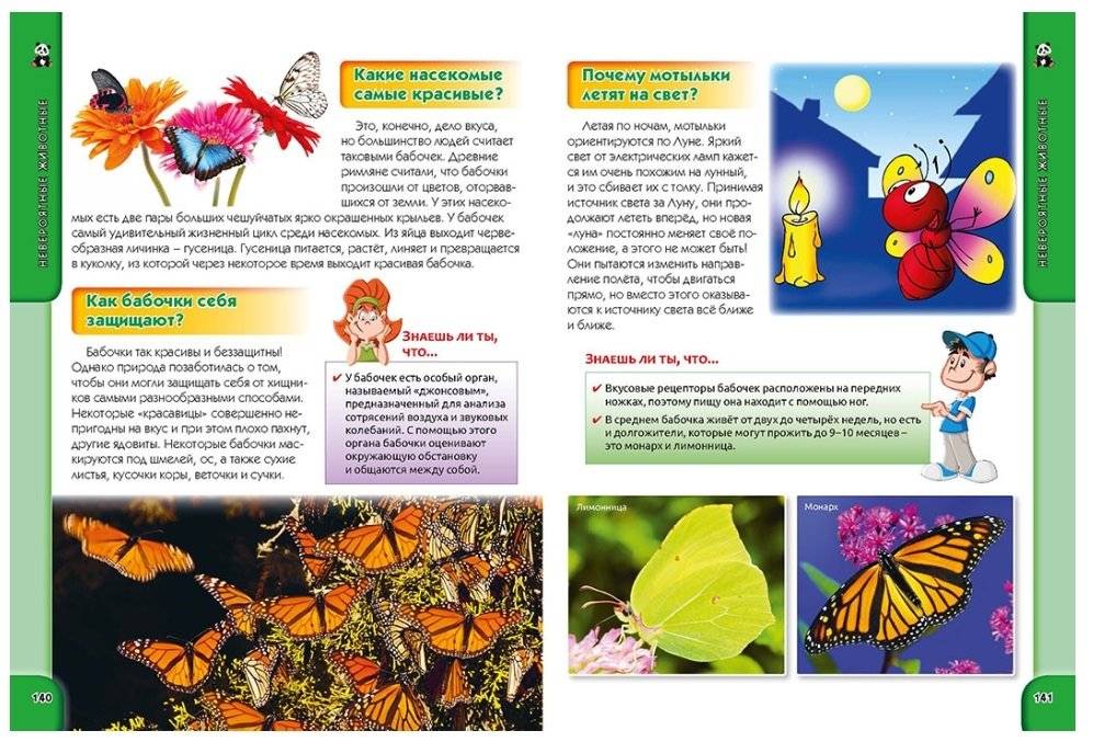 Что? Как? Почему? Зачем? Большая детская энциклопедия фото книги 7