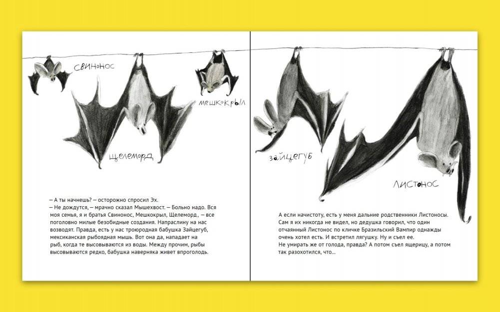 Эх! История о маленьком гепарде, который не умел бегать фото книги 6