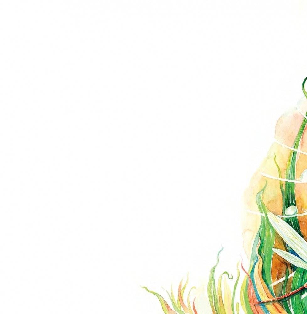 По секрету на ушко фото книги 2