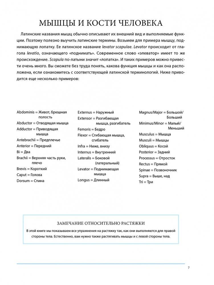 Анатомия лечебной растяжки фото книги 4