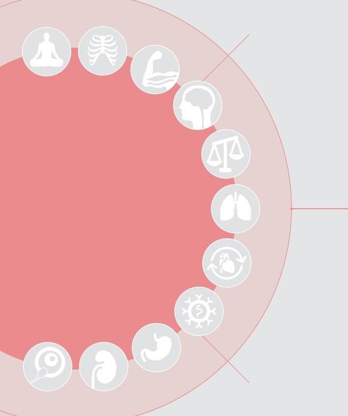 Анатомия и физиология йоги: совершенствование практики ключевых асан фото книги 6