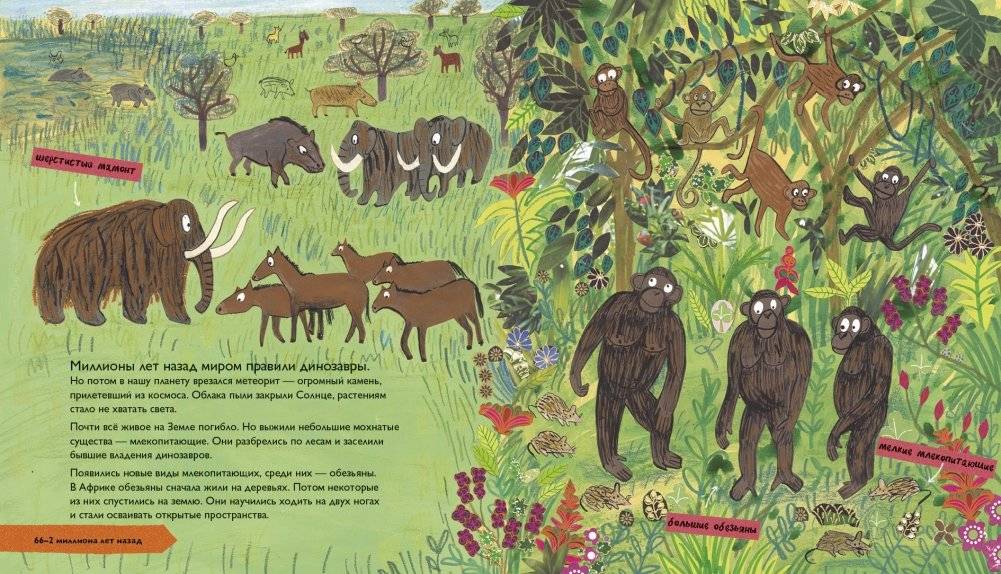 История людей. Моя первая книга о человечестве фото книги 2