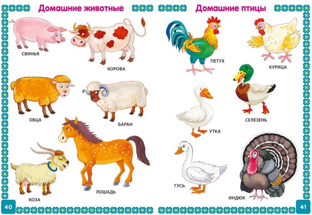 Энциклопедия для детей от 6 месяцев до 3 лет фото книги 5