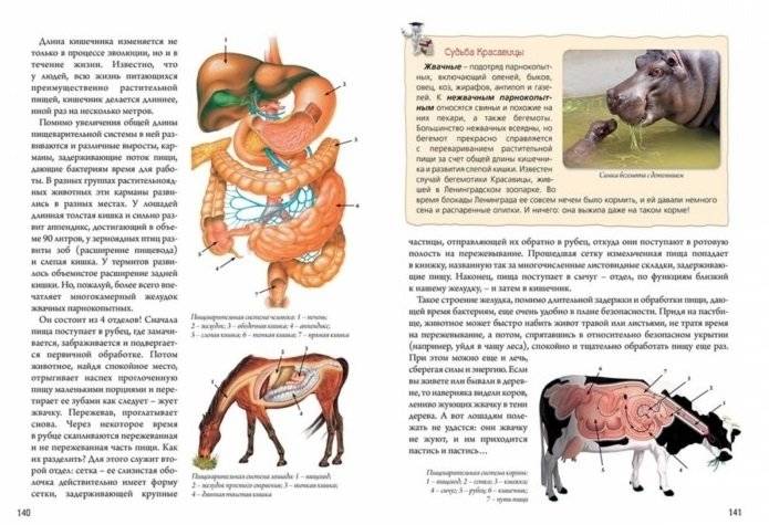 Нескучная биология с задачами и решениями фото книги 5