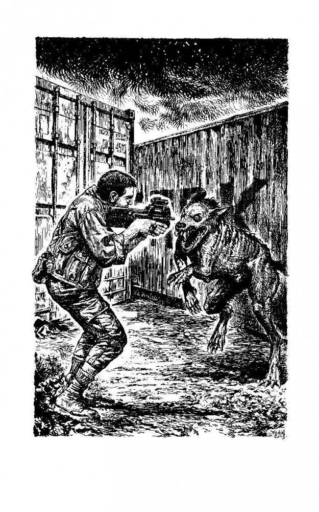 Странник фото книги 3