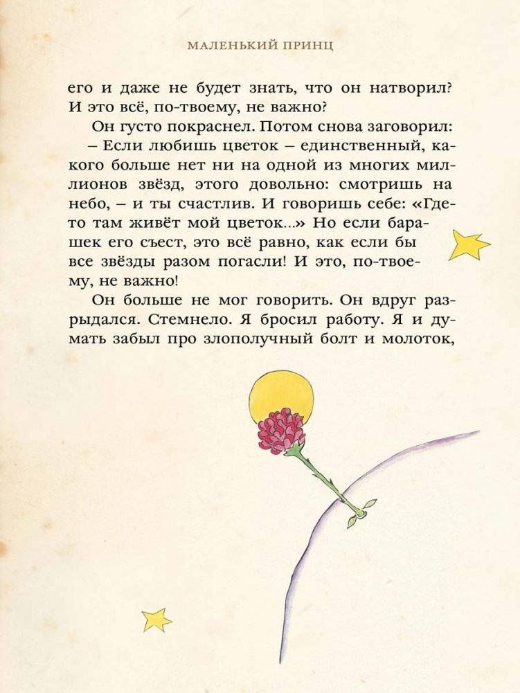 Маленький принц фото книги 7