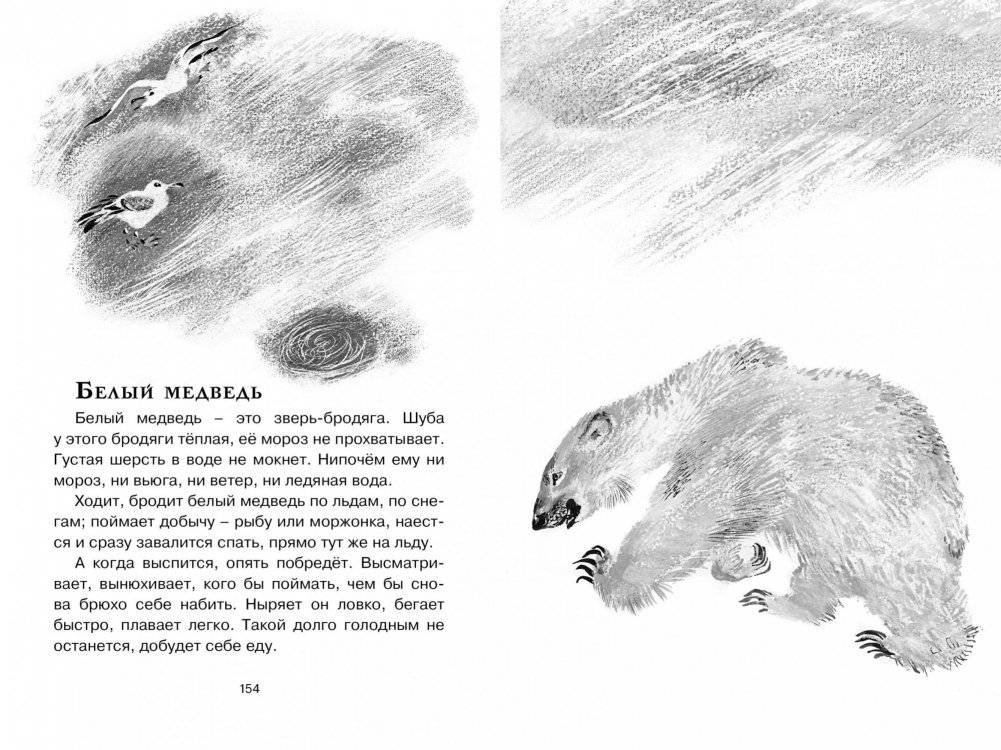 Друзья фото книги 8