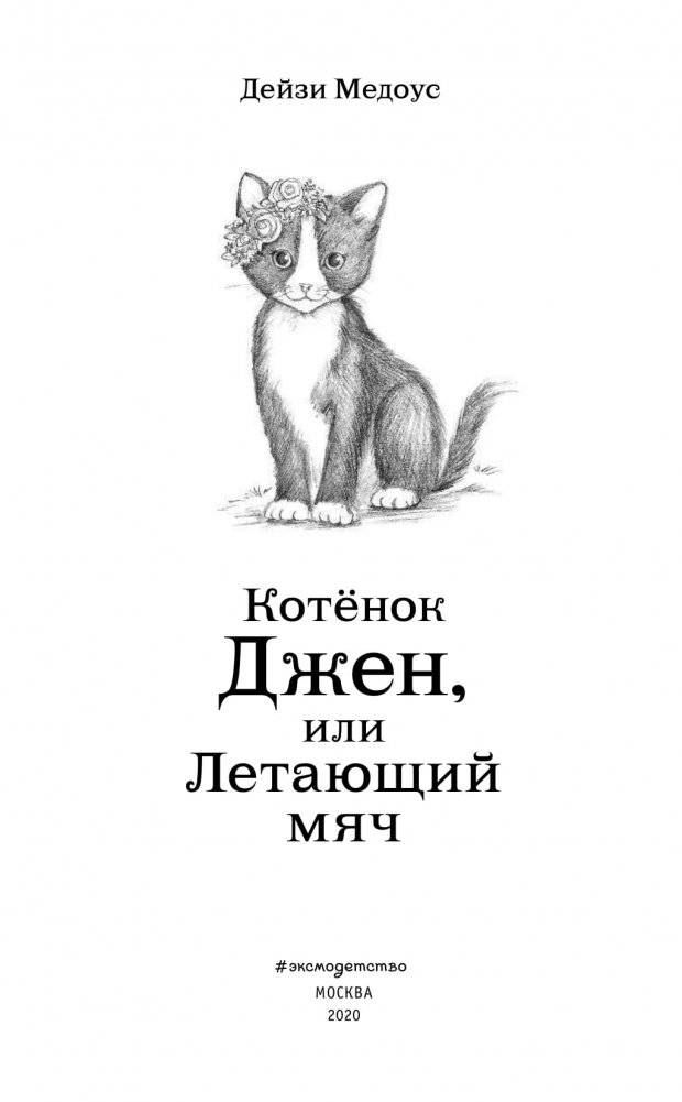 Котёнок Джен, или Летающий мяч фото книги 12