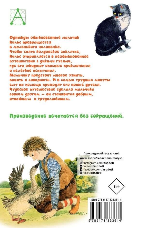 Чудесное путешествие Нильса с дикими гусями фото книги 2