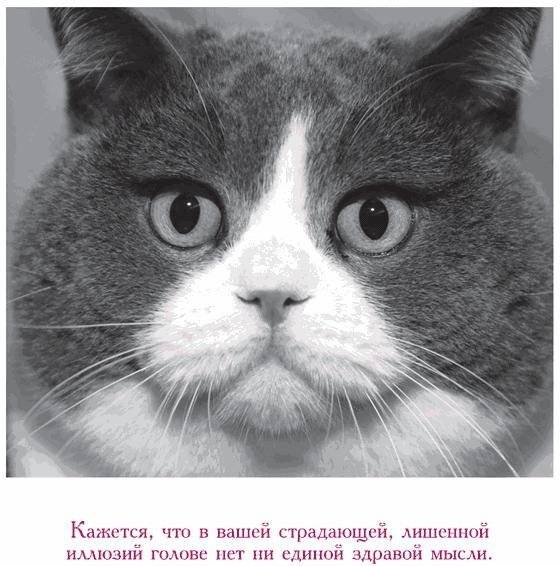 Капелька храбрости. Как достойно встречать трудности жизни фото книги 8