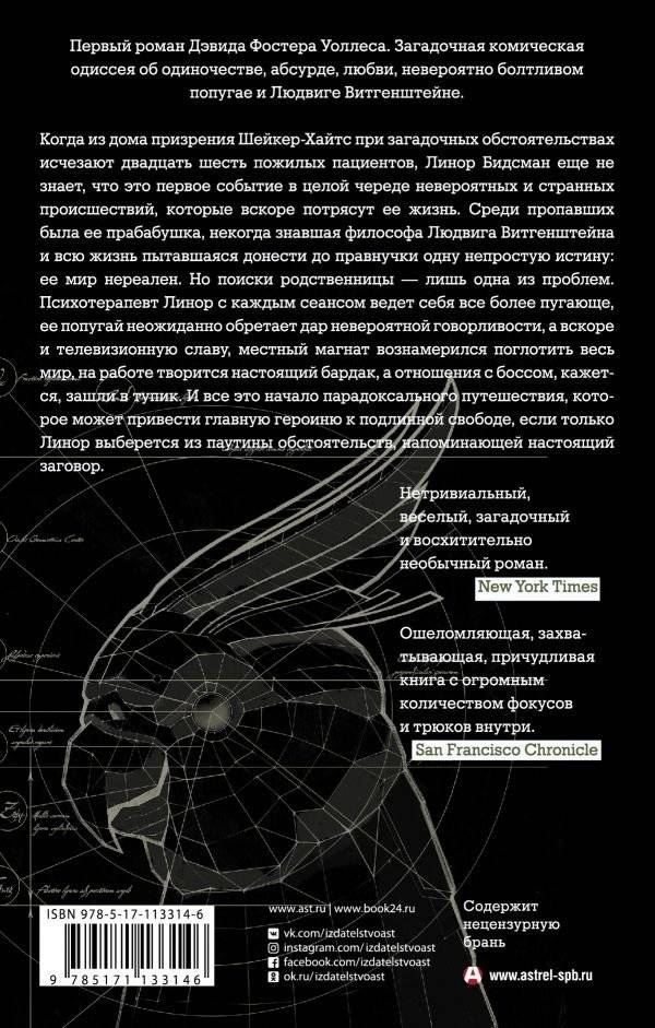 Метла системы фото книги 2