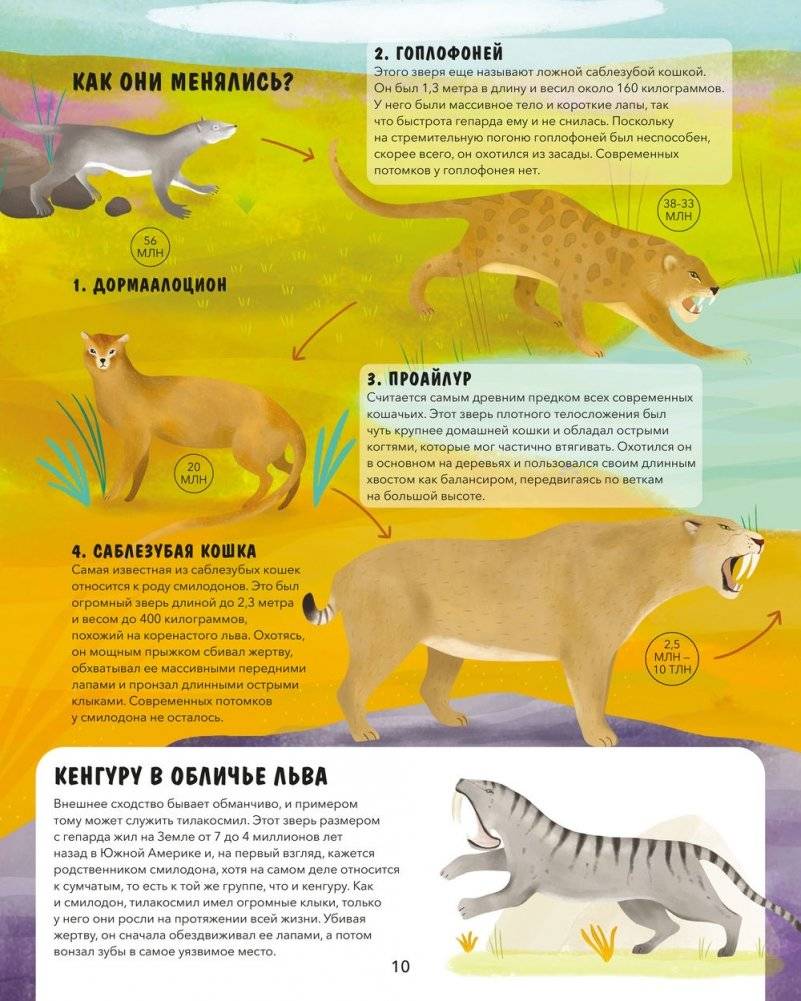Эволюция. Как изменилась жизнь за миллиарды лет фото книги 10