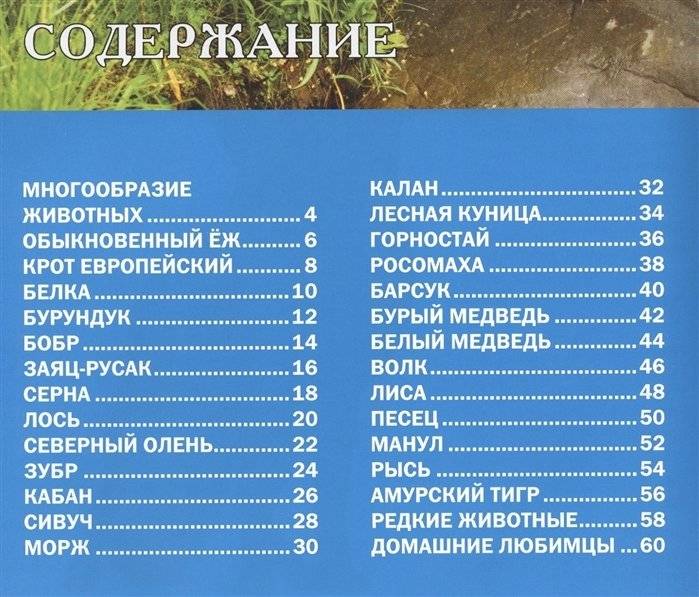 Звери и птицы России. Энциклопедия для детей фото книги 2