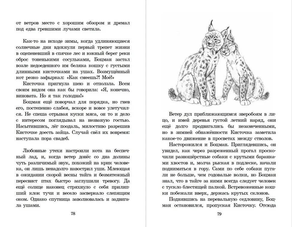 Таежными тропами фото книги 4