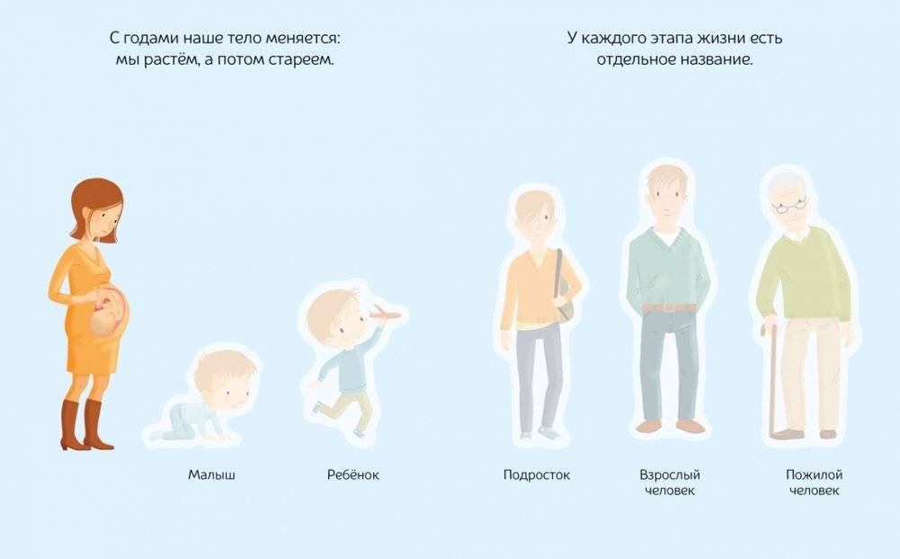 Тело человека фото книги 2