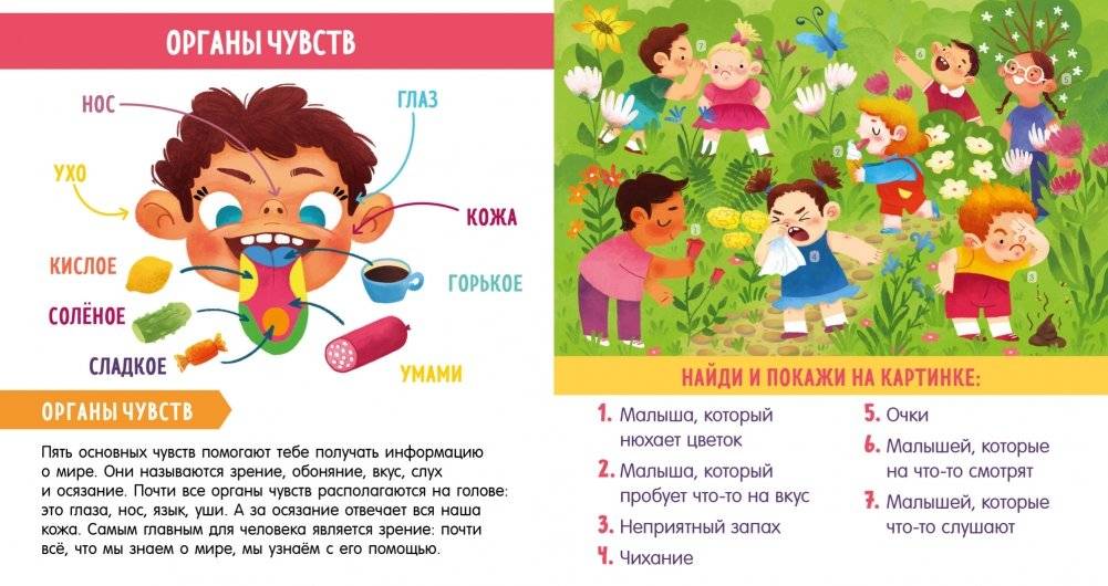 Найди и покажи, малыш. Моё тело фото книги 4