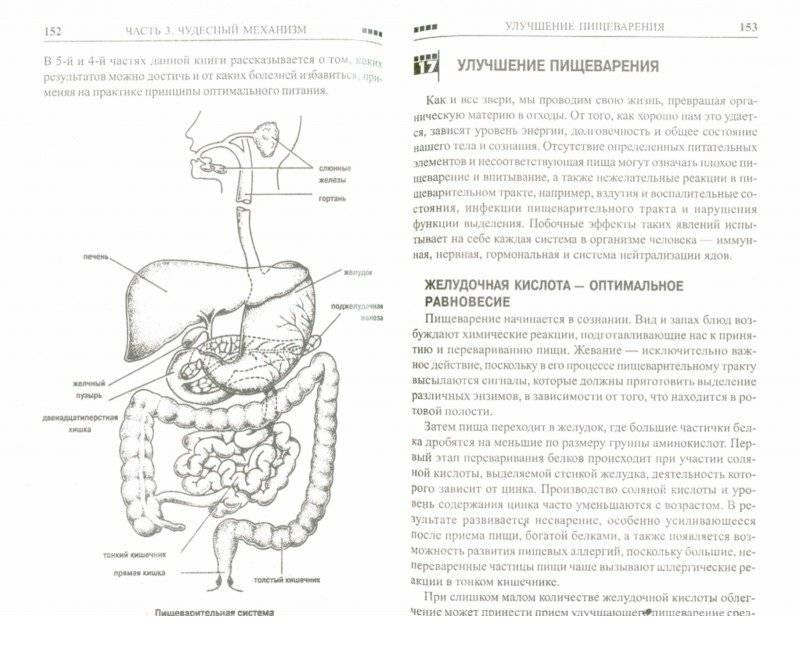 Правильное питание для здоровой жизни фото книги 2