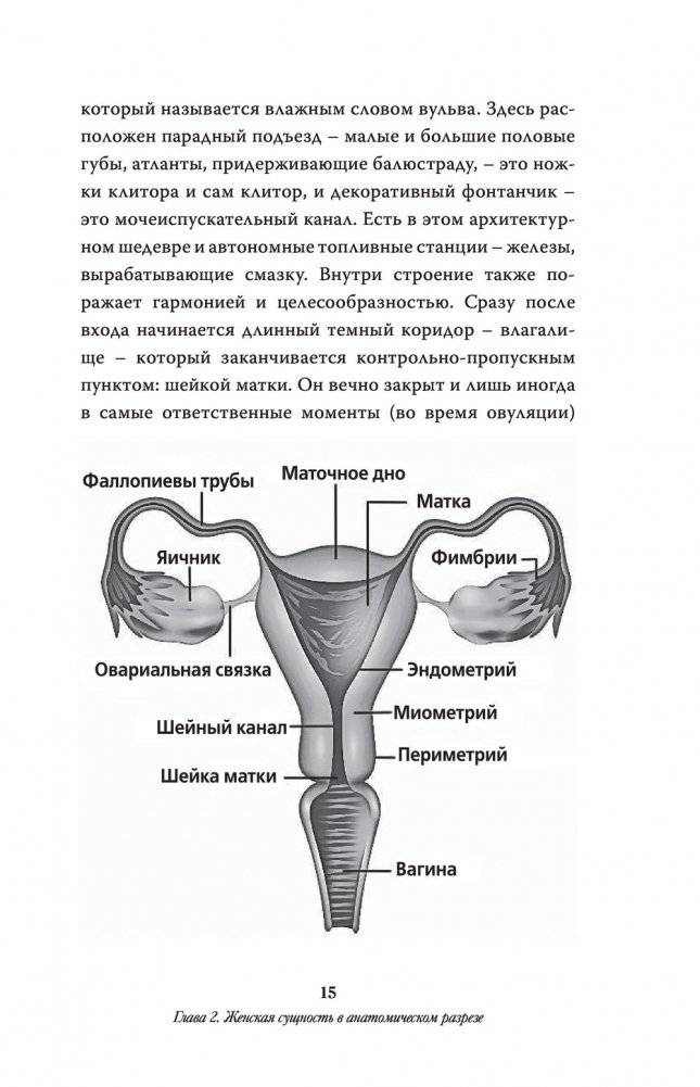 Чисто женская тема! Что должна знать каждая дама о своем здоровье фото книги 2