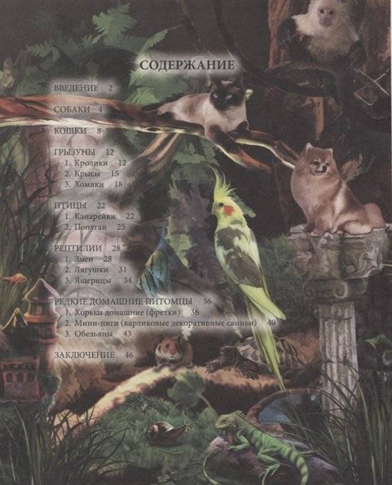 Энциклопедия. Домашние питомцы фото книги 2